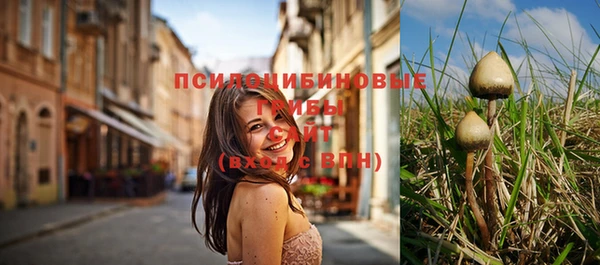 mix Нея