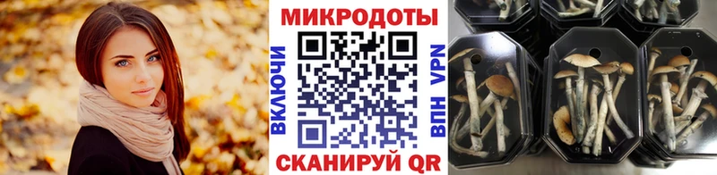 хочу   Велиж  kraken зеркало  Псилоцибиновые грибы Magic Shrooms 